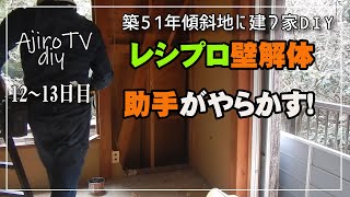 【傾斜地DIY】レシプロ最強！どんどん刻むよ！勢いあまって助手が大失敗！