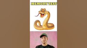 memory test challenge 🤔🧐#shortsfeed #shorts #viral