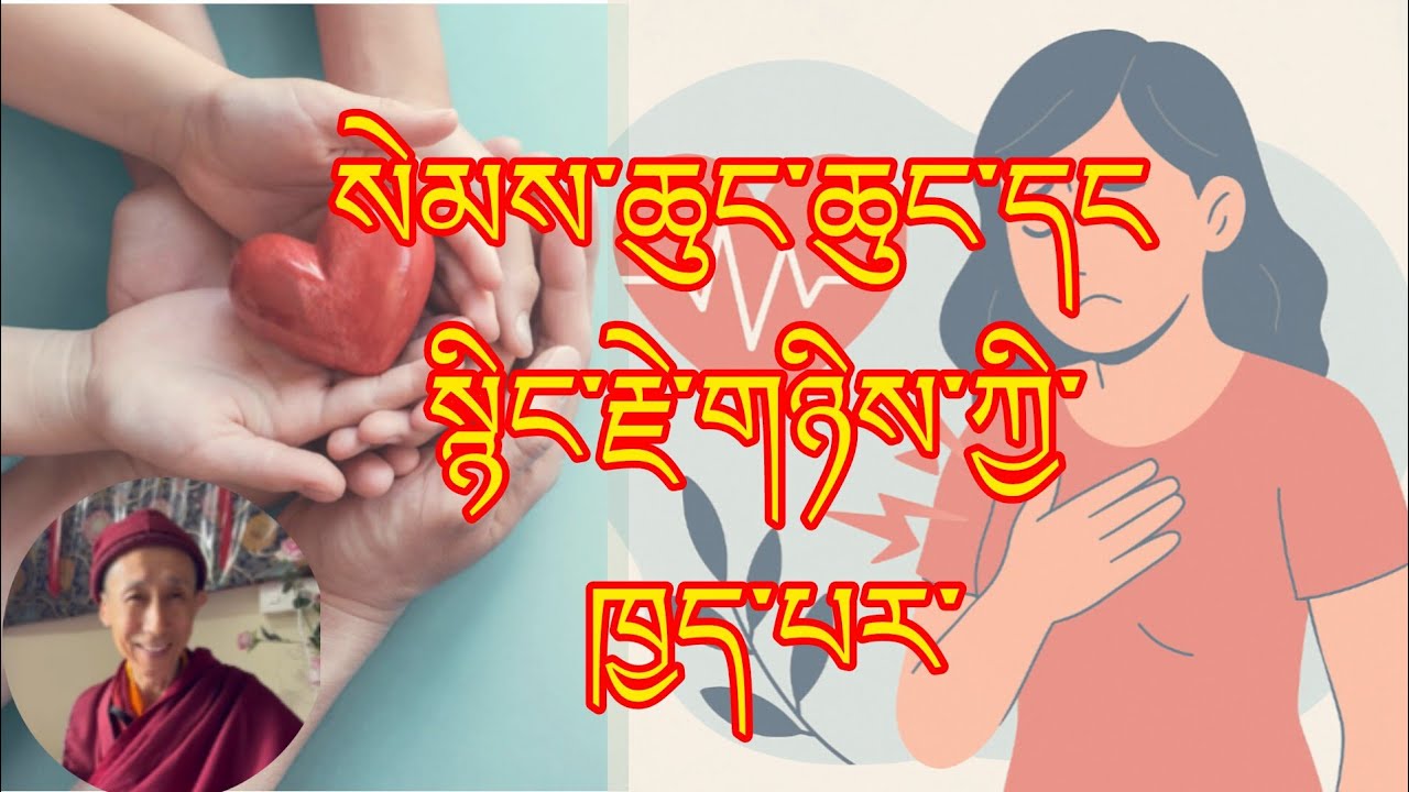 སེམས་ཆུང་ཆུང་དང་སྙིང་རྗེ་གཉིས་ཀྱི་ཁྱད་པར། difference between love and soft heart@gesherab 