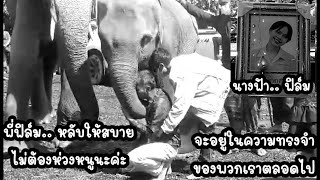 วินาทีบีบหัวใจ🤍น้องสุพรรษา​มาส่งพี่ฟิล์ม​🖤น้องส่งเสียงร้องบอก.. นางฟ้ากลับสวรรค์