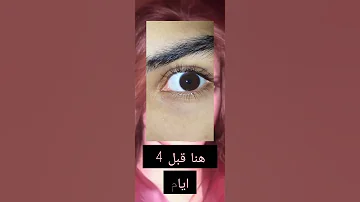 نتائج سبليمنالز فاتن سبليمينال 