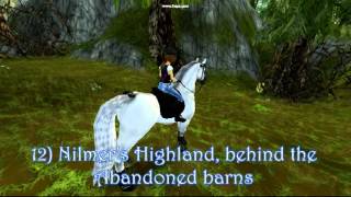 SSO: 2016 Egg Hunt