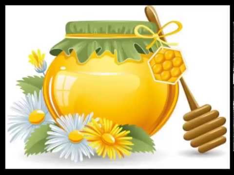 Доктор Мечо песен