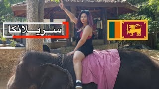 رحلة العمر إلي سريلانكا -  الجزء الأول كولومبو و كاندي