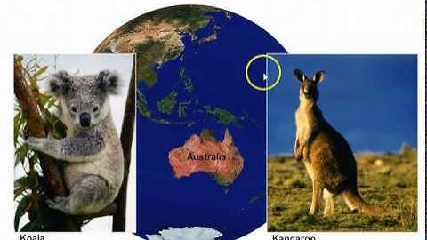 Bio 112 Chapter 13 (Part 2): How Populations Evolve