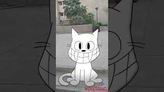 [short] There's a weird cat outside...