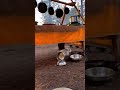 Wild Kitchen Chaos Unleashed