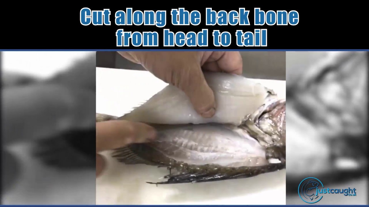 Love Fish - How to fillet John Dory
