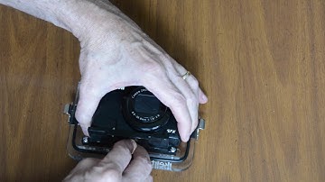 Getting Started in Underwater Photography Part 1: How to Set Up Your Camera by David Heidemann