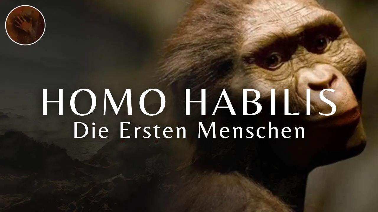 Homo Habilis: Die ersten 