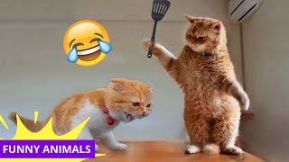 Best FUNNY Animals 😂 🐱Funniest CATS and DOGS Videos