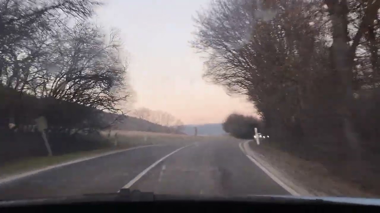 Sáng 28.2.2026 sinh nhật Thị Nở, cả nhà đi sang Wiena (Áo) thăm triển lãm hoa Phong Lan.