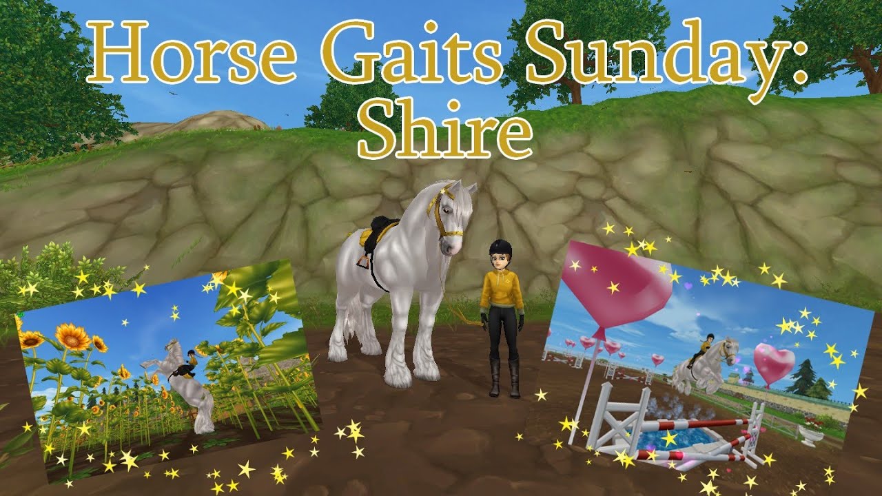 Horse Gaits Sunday: Shire | 