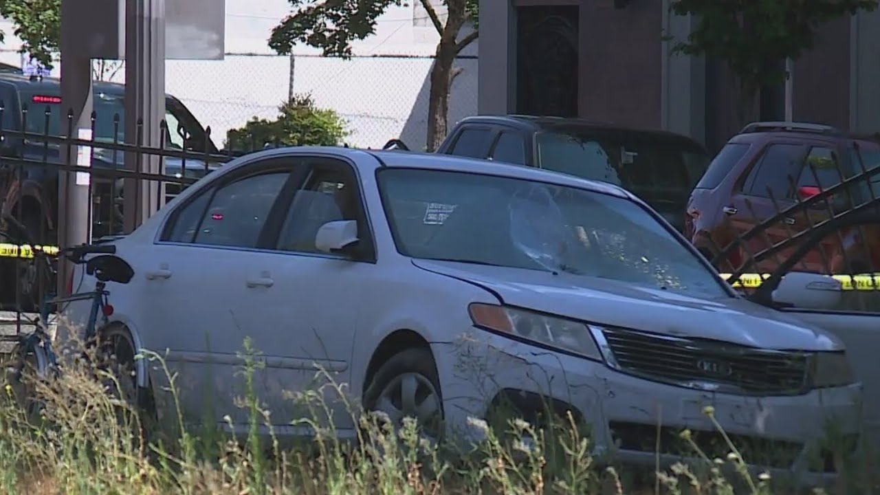 Police ID driver accused of hitting 2 pedestrians while fleeing ...
