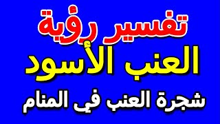 ما تفسير رؤية شجرة العنب في المنام- التأويل | تفسير الأحلام -- الكتاب الخامس