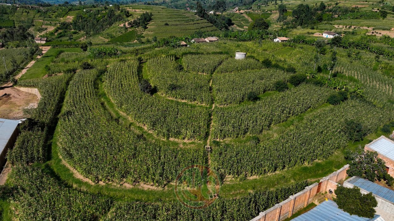 BUTANYERERA, ABARIMYI N'ABAGWIZAMBUTO BARAFISE ICO BIRATA