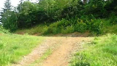 Homes for Sale - S 8th St Coos Bay OR 97420 - Vick...