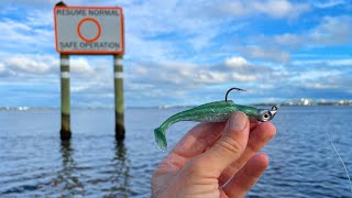 Epic Surprise Brackish Water Grouper Smokes this Swimbait and Pompano River Fishing!!!!