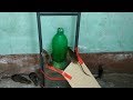 Best Mouse Trap/PVC Water Bottle Mouse Trap/Idea Mouse Trap