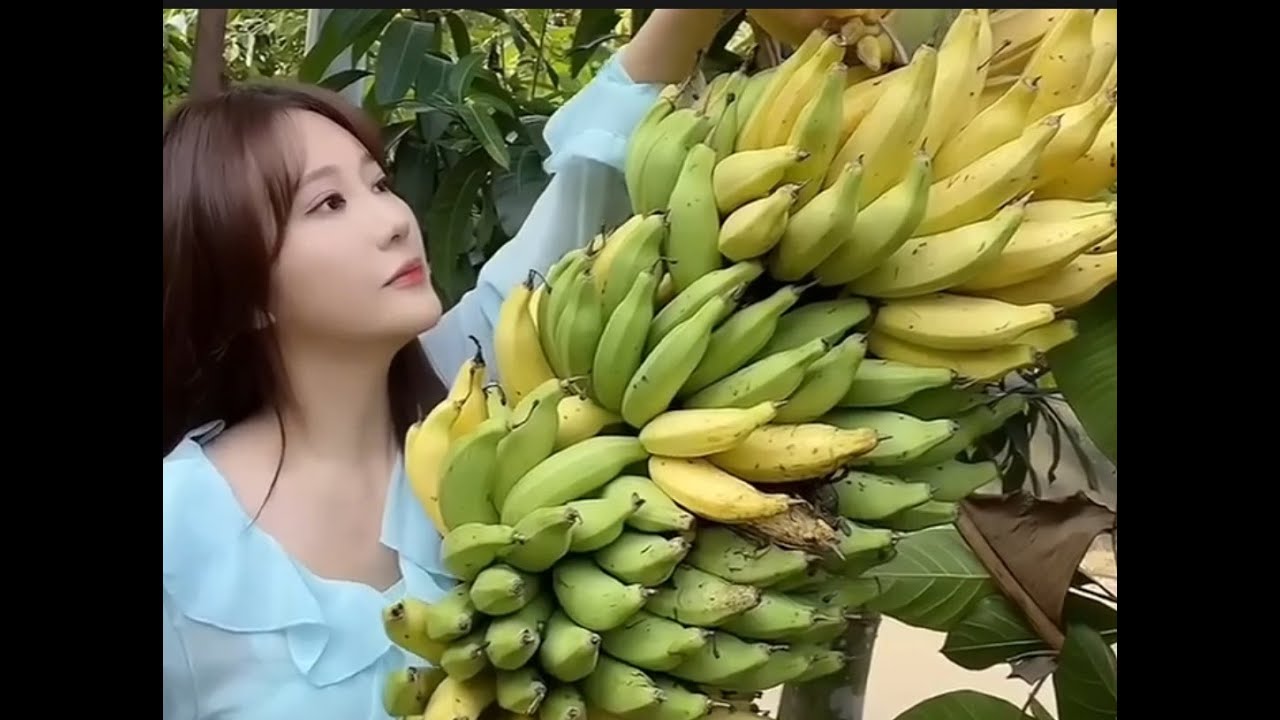 World's Most Expensive mixer fruits - Awesome china Agriculture Technology Farm