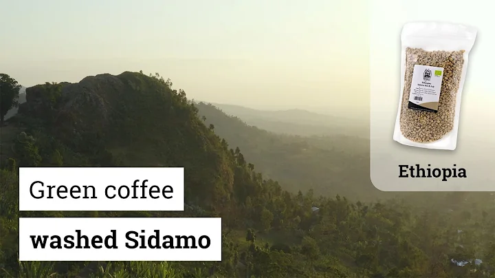 Green Coffee organic & fair: Ethiopia washed Sidamo