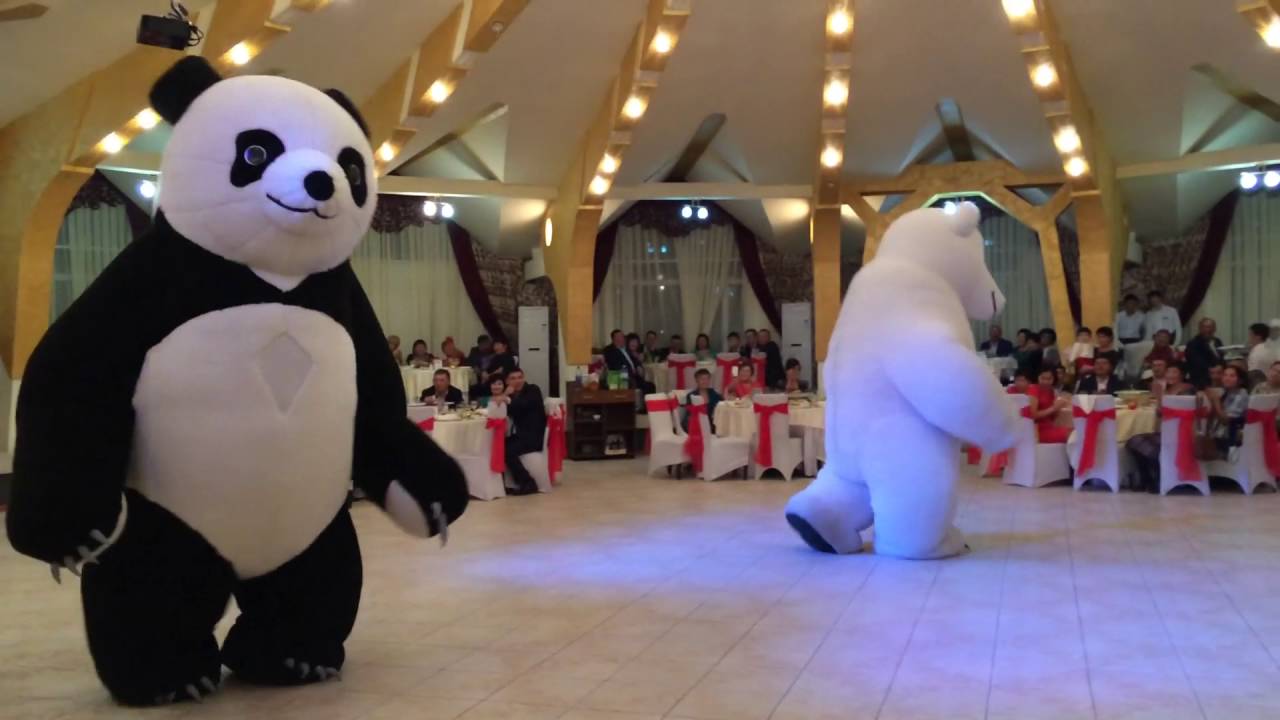 Панда танцует видео. Аниматор Панда. Панда костюм аниматора. Панда свадьба. Шоу маска Панда.
