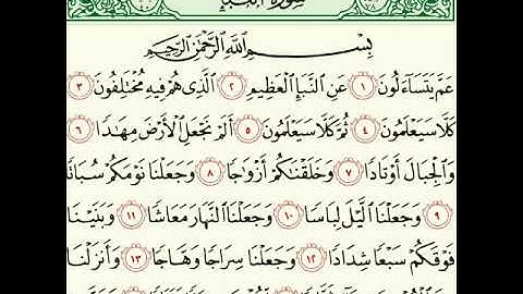 سورة النبأ القارئ هلال الأيوبي 🎧⭐💖 أرح سمعك
