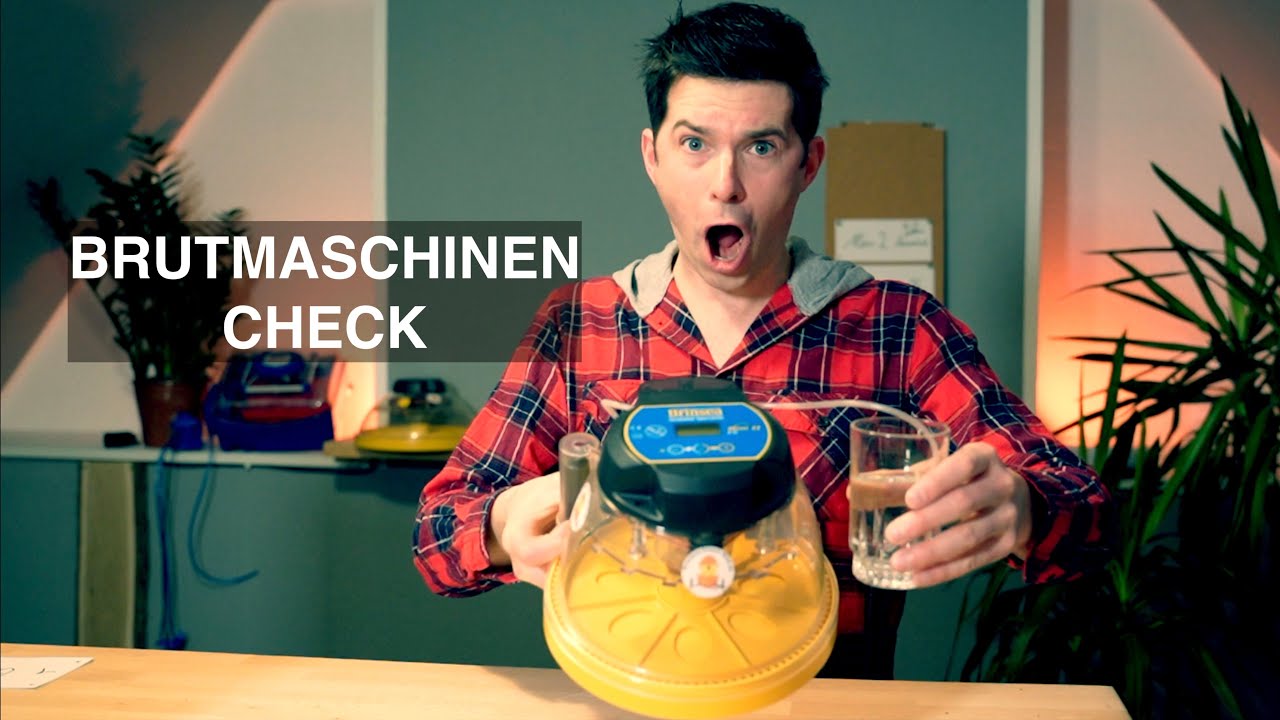 Brinsea Mini II EX Brutmaschine – Automatische Feuchtigkeit, Eierdrehung, 7 Eier Standard, Für Vögel Bis Ente