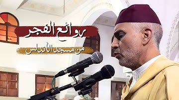 تلاوة هادئة من صلاة الفجر من مسجد الأندلس 06/11/2025 - بجودة عالية - الشيخ العيون الكوشي - 4K