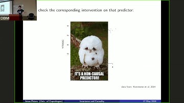 CCD Distinguished Lecture Series - Jonas Peters