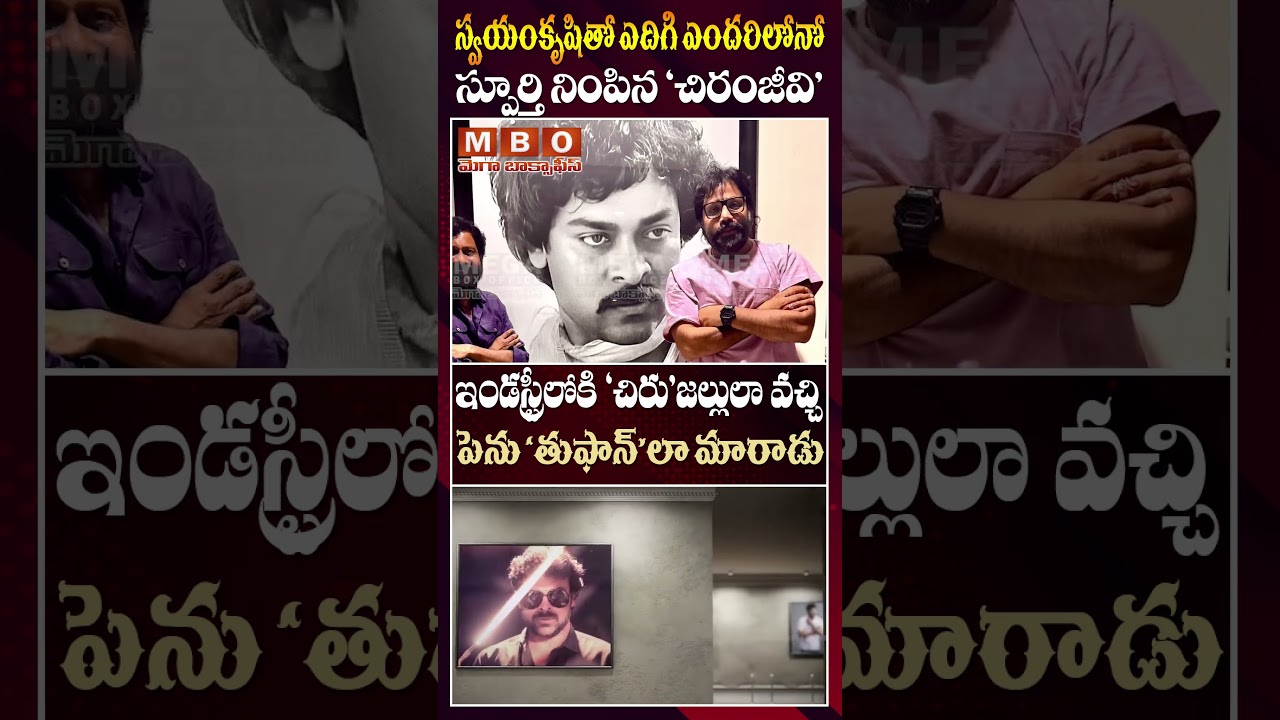'చిరు'జల్లులా వచ్చి పెను'తుఫాన్'లా మారాడు | Megastar Chiranjeevi | Mega Box Office