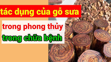 #19 [ gỗ sưa là gì?tác dụng của gỗ sưa ]