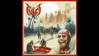 Brutal Death Metal Full Album  'FULCI' - Tropical Sun