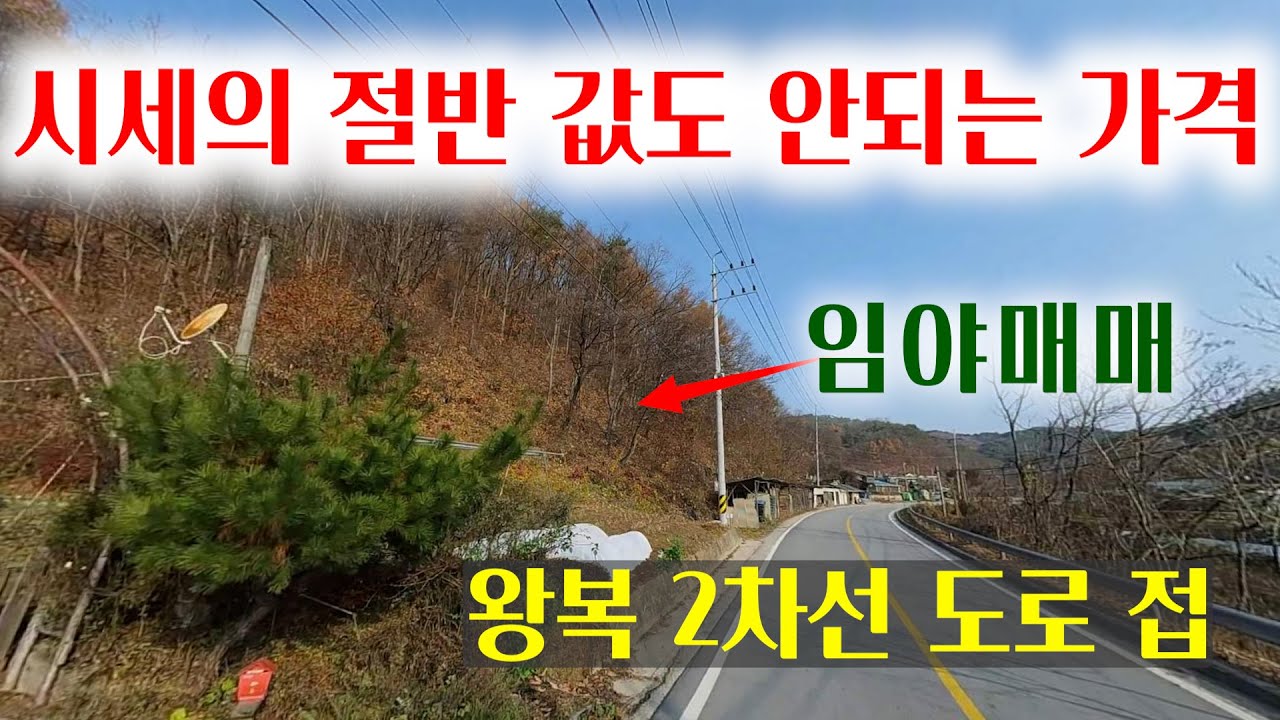 [1500] 준보전산지가 포함 되어 있고 시세의 절반값도 안되는 임야로 2차선 도로가 접하고 있어 접근성이 좋은 임야매매