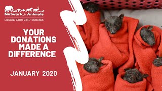 Your donations in ACTION in January 2020
