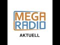 T62 – Gespräch mit Alexander Boos von Mega Radio über das Buch „Der Ring Weda“ – Ludwig Gartz