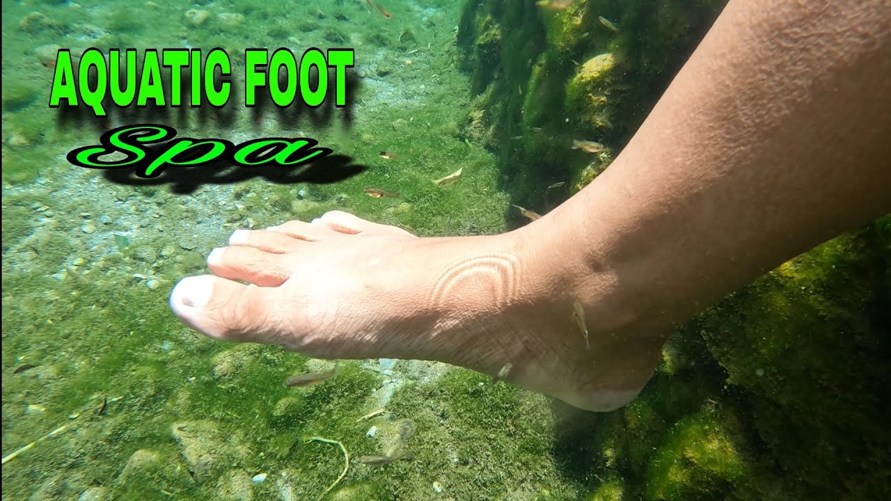 AQUATIC FOOT SPA / UNDER WATER VIDEO BAMBOO GARDEN RESORT NEW BATAAN