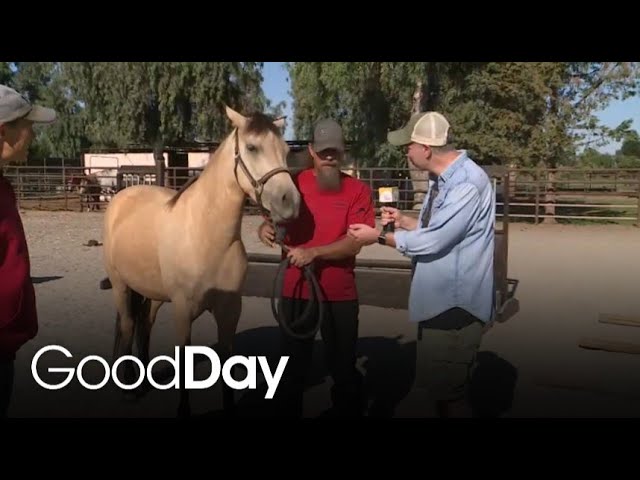 Cody is Checking Out Hope's Chance Horse Sanctuary | Cody's Caravan