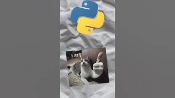 My First Python Game!!!!!!!