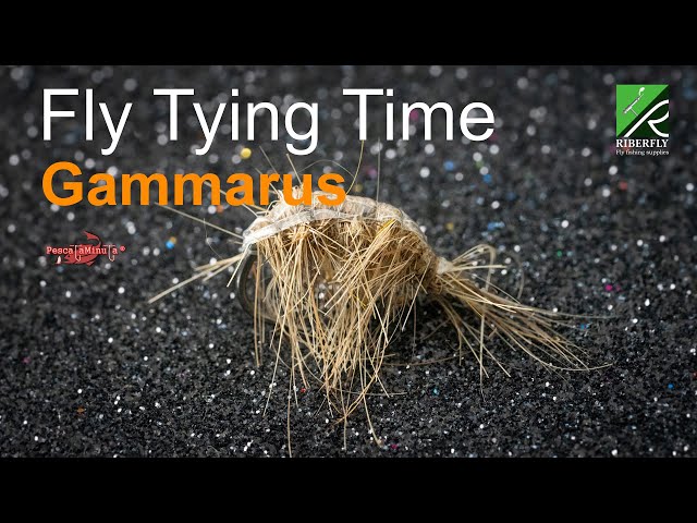 fly Tying Time - Gammarus