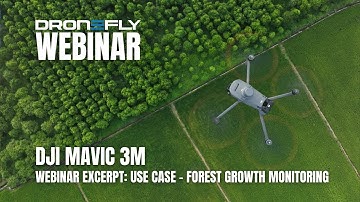 Webinar Excerpt | DJI Mavic 3M Multispectral - Use Case - Forest Growth Monitoring | Dronefly