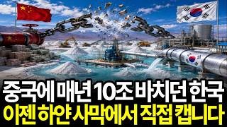 매년 중국에 10조 가져다 바치던 한국, 리튬 한 톨 안 나던 대한민국이 배터리 패권의 판을 뒤집는 방법