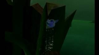 tas dutchman skip
