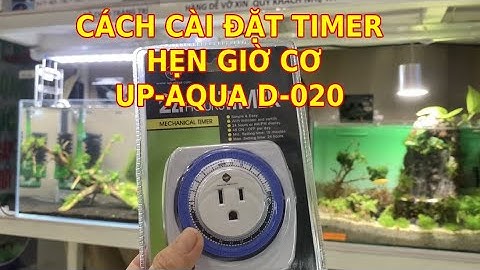 Cách cài đặt Timer hẹn giờ cơ Up-Aqua D-020