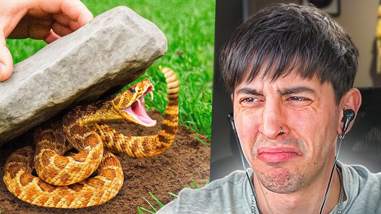 Volteó 100 Rocas en la Selva, Esto fue lo que Encontró