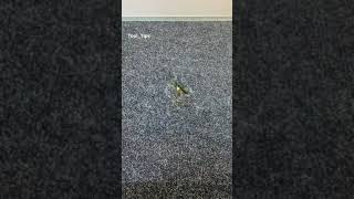 Celebrity 5 Tips in 1 minutes #shorts Wealth