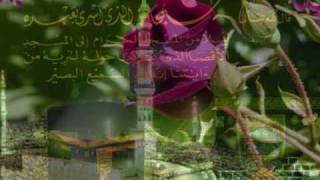 *~*Elahi*~*