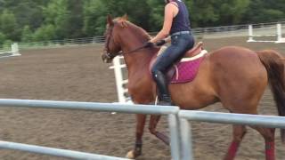 Mojo Flatwork