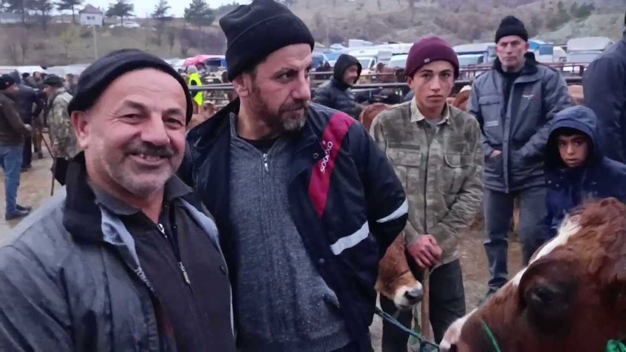 YOZGAT KADIŞEHRİ CANLI HAYVAN PAZARI 30 KASIM .!!! 1. Bölüm 