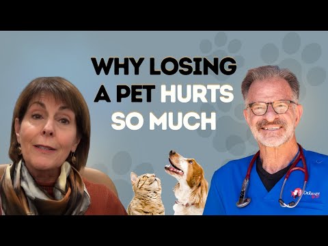 How To Get Through The Pain of Losing A Pet thumbnail